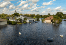 Climate risks, tariffs and AI pressure property claims: Sedgwick