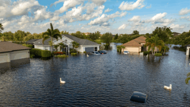 Climate risks, tariffs and AI pressure property claims: Sedgwick