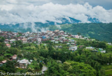 Dzukou Valley Trek: A Complete Guide & More
