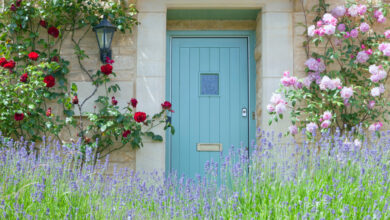 Insurance for listed properties is not a luxury; it’s a necessity!