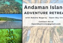 The Best Time To Visit Andaman Islands: A Seasonal Breakdown for 2025