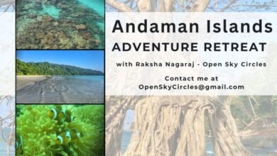 The Best Time To Visit Andaman Islands: A Seasonal Breakdown for 2025