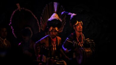 Your Guide for Hornbill Festival in Nagaland (2025)