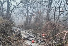 Dachingam National Park Hike: Faint Hanguls, Sprained Ankles