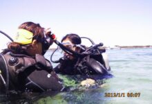First Step of Scuba Diving: Discover Scuba Diving