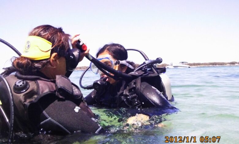 First Step of Scuba Diving: Discover Scuba Diving First Step of Scuba Diving: Discover Scuba Diving