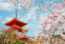 8 Best Places To Visit In Spring For Stunning Blooms