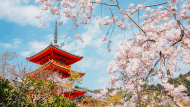 8 Best Places To Visit In Spring For Stunning Blooms
