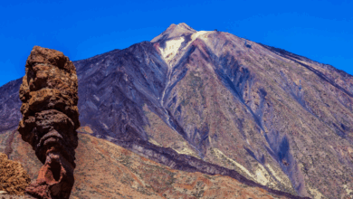 Best Things To Do In Tenerife