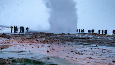 15 Best Experiences & Activities