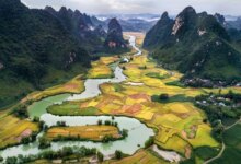 25 Best Vietnam Souvenirs + 1 thing to AVOID
