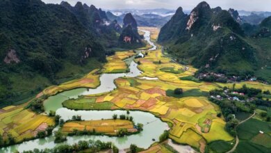 25 Best Vietnam Souvenirs + 1 thing to AVOID