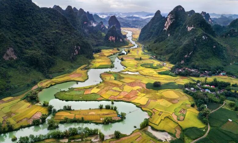 25 Best Vietnam Souvenirs + 1 thing to AVOID 25 Best Vietnam Souvenirs + 1 thing to AVOID
