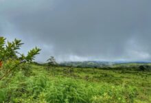 Valikunja Trek: Offbeat Trail in Kudremukha National Park