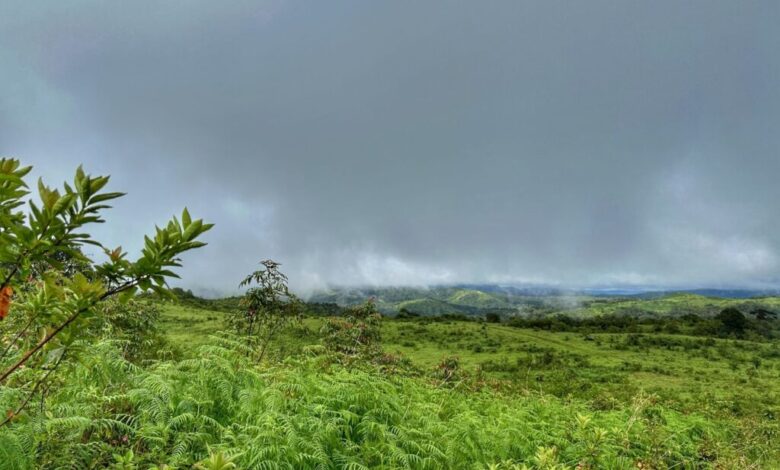 Valikunja Trek: Offbeat Trail in Kudremukha National Park Valikunja Trek: Offbeat Trail in Kudremukha National Park