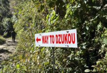 Guide to Dzukou Valley Trek from Viswema Village in Nagaland (2025)