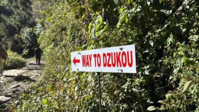 Guide to Dzukou Valley Trek from Viswema Village in Nagaland (2025)