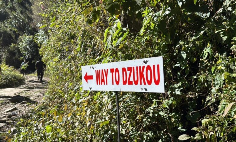 Guide to Dzukou Valley Trek from Viswema Village in Nagaland (2025) Guide to Dzukou Valley Trek from Viswema Village in Nagaland (2025)