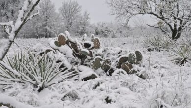 How to Prepare Your Heating System for Cold Snaps in North Texas