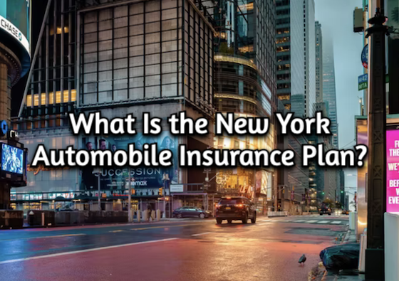 What Is the New York Automobile Insurance Plan? What Is the New York Automobile Insurance Plan?