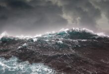 What Can You Do to Mitigate Storm Damage?