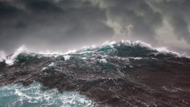 What Can You Do to Mitigate Storm Damage?