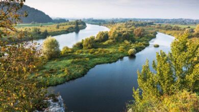Your Ultimate Guide to the Best Things To Do in Krakow, Poland