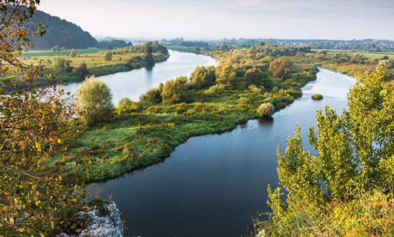 Your Ultimate Guide to the Best Things To Do in Krakow, Poland Your Ultimate Guide to the Best Things To Do in Krakow, Poland
