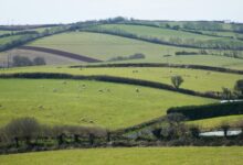 The biggest land insurance myths busted