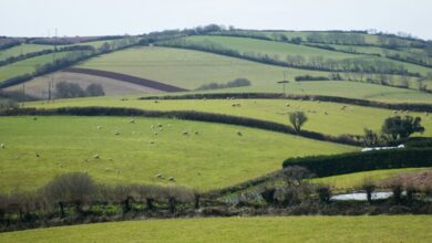 The biggest land insurance myths busted