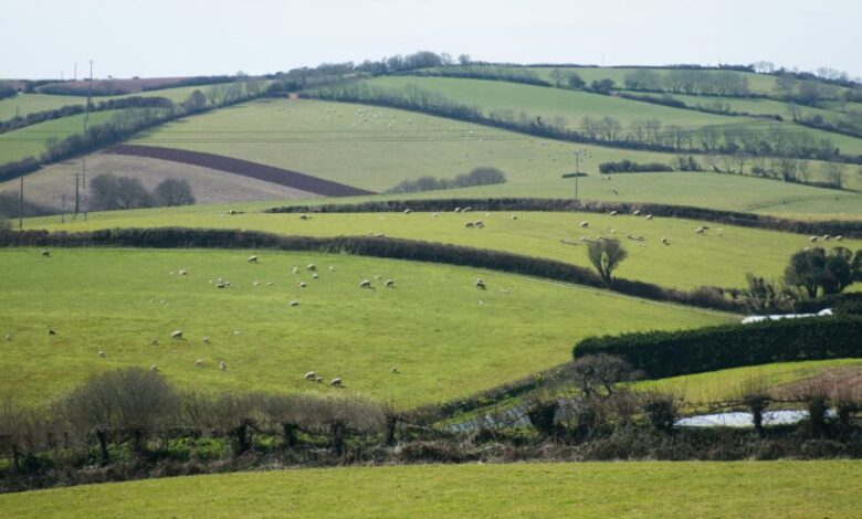 The biggest land insurance myths busted The biggest land insurance myths busted